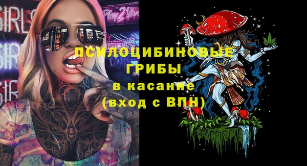 спиды Алзамай