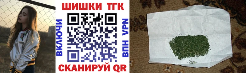 купить закладку  Электрогорск  Марихуана сатива 